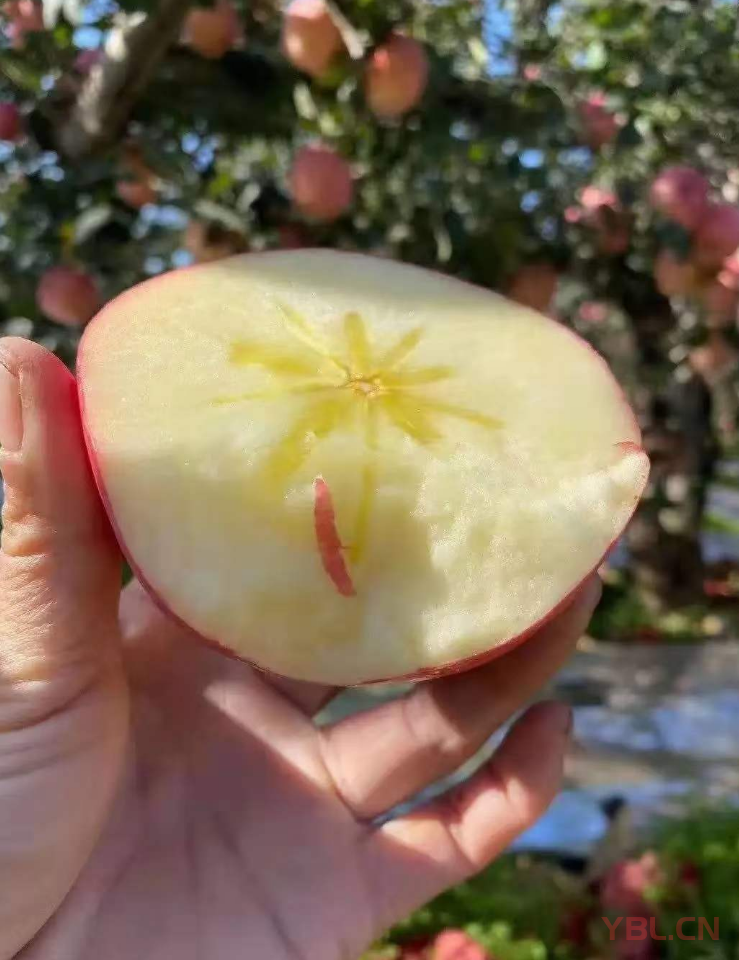 把自己立起來知是基本功，壓的住情緒才是真本事。