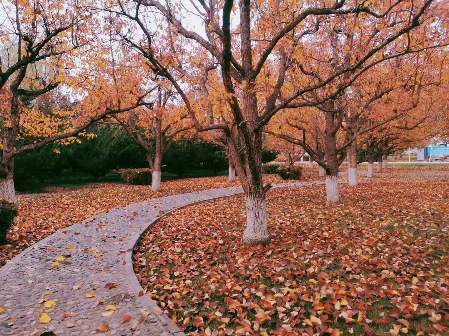 人要看開(kāi)，切勿看透