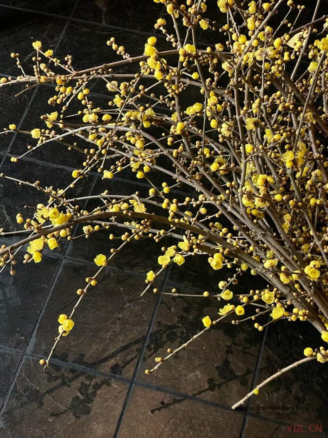 傷人的，負(fù)面的，頹廢不積極的話，我從來是不舍得多說的